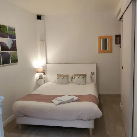 La Berceau De Bernadette B&B 루르드