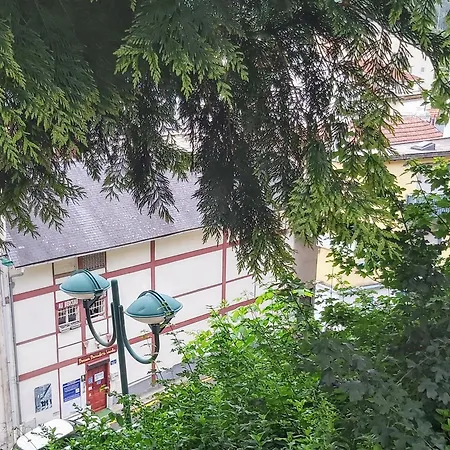 La Berceau De Bernadette - Bernadette's Cradle - Near Bernadette'house