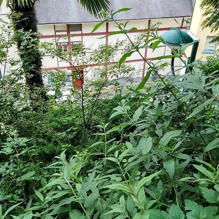 La Berceau De Bernadette - Bernadette's Cradle - Near Bernadette'house Bed and Breakfast