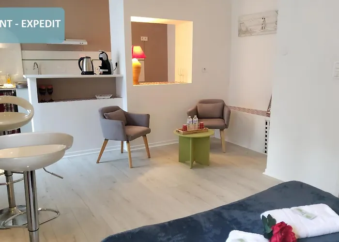 Couette-café La Résidence Berceau De Bernadette Lourdes