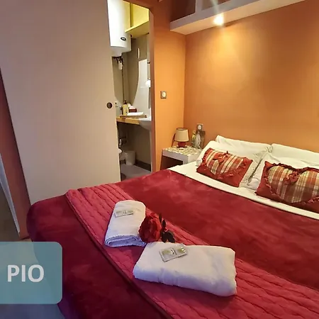 Au Berceau de Bernadette - Bernadette's cradle - Near Bernadette'House 3* Lourdes