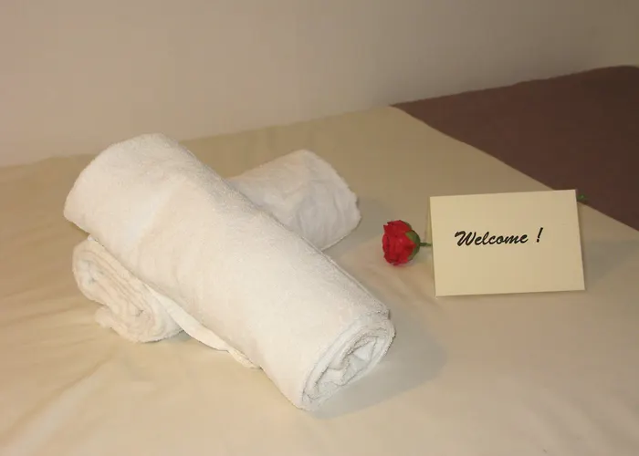 La Berceau De Bernadette - Bernadette's Cradle - Near Bernadette'house B&B 루르드