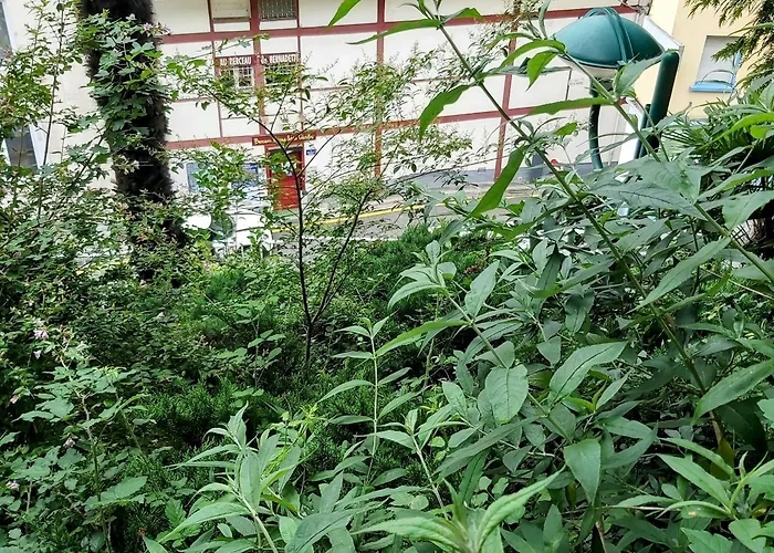 La Berceau De Bernadette - Bernadette's Cradle - Near Bernadette'house לינה וארוחת בוקר